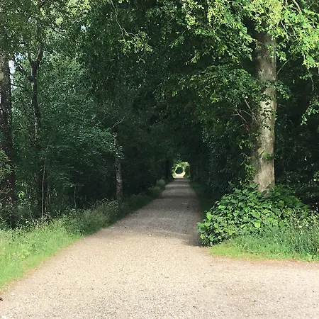 Bed & Breakfast Tistrup Bed & Breakfast Tistrup