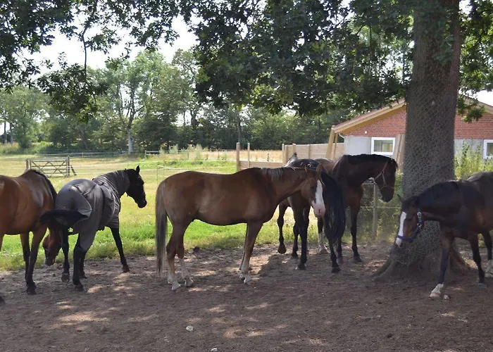 Bed & Breakfast Bed & Breakfast Tistrup Tistrup